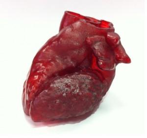3D-printed_heart-2-610x570