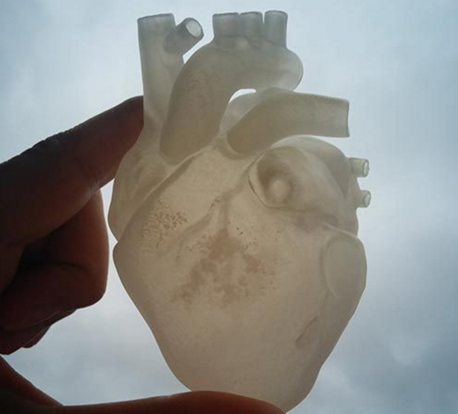 3dp_ten3dpthings_anatomical_heart_1
