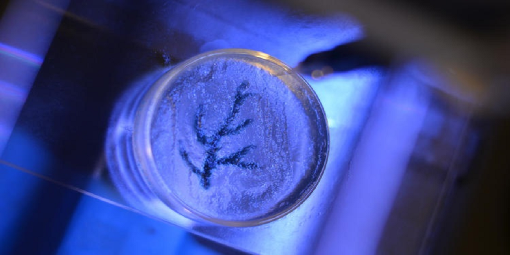 According to Doctors, The Future May Include 3D Printed Parts for Hearts