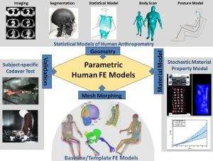 Technical schematic for creating a parametric human FE model