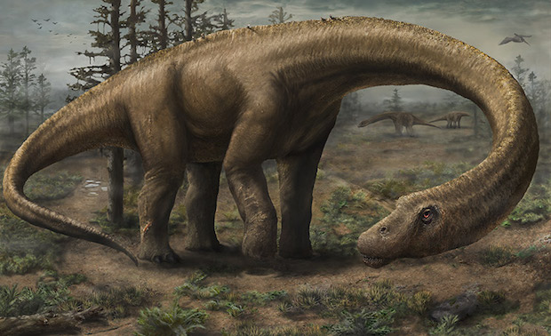 Dreadnoughtus Schrani.