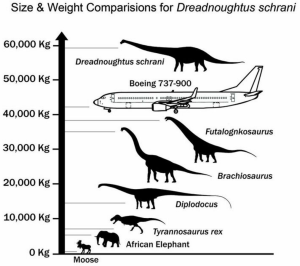 Exactly how big is Dreadnoughtus? Pretty big.