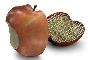 3D apple model with internal lattice to reduce weight.