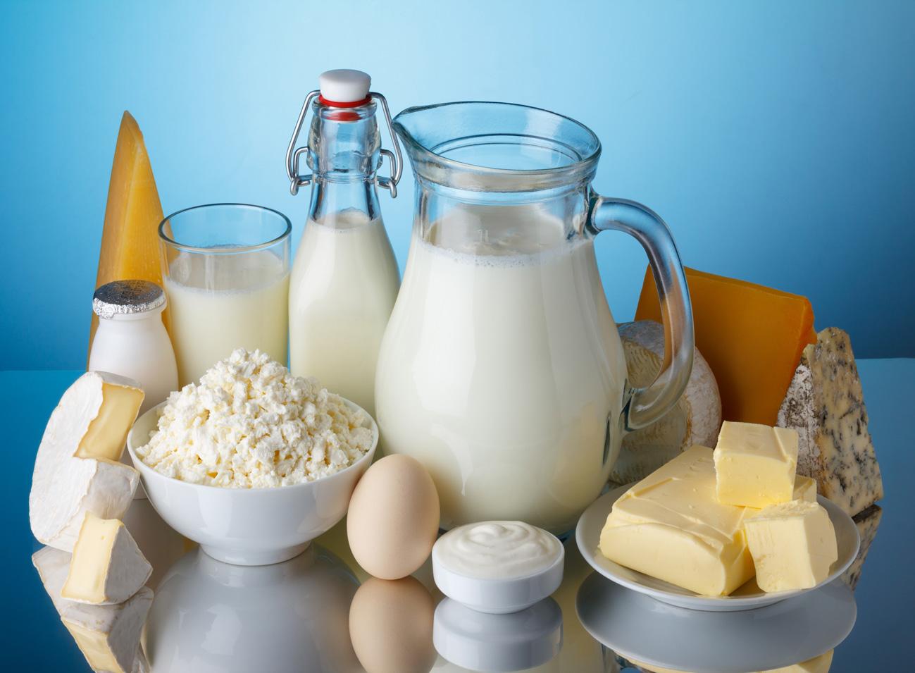 What Foods Are Dairy List