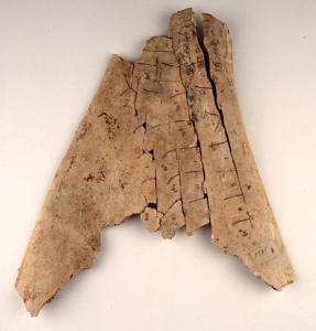 Carved oracle bones housed at the British Library.