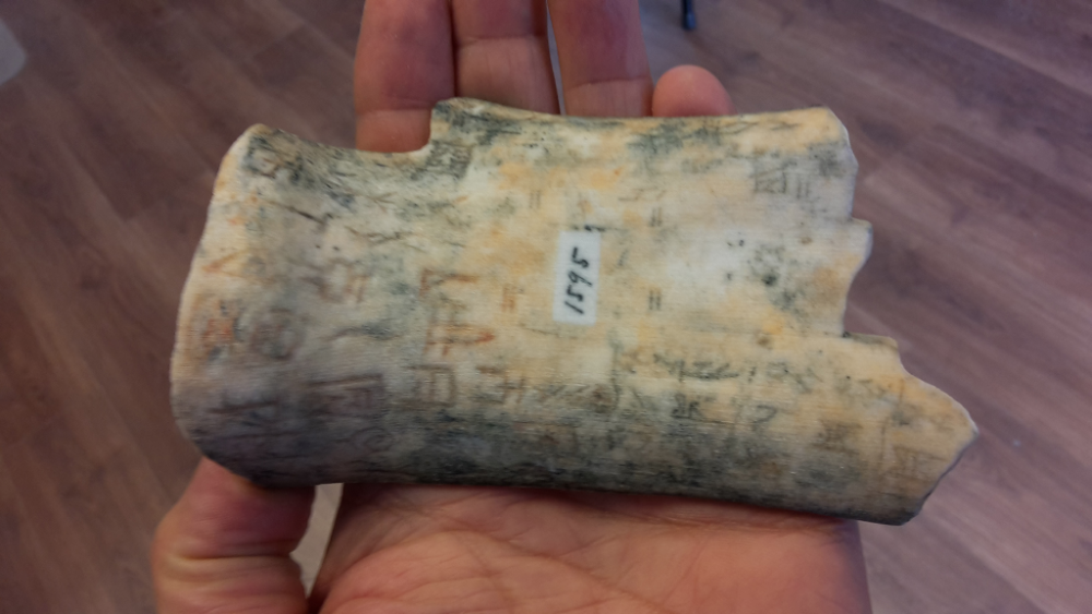 A 3D printed replica of an Oracle Bone 3D printed by ThinkSee3D.