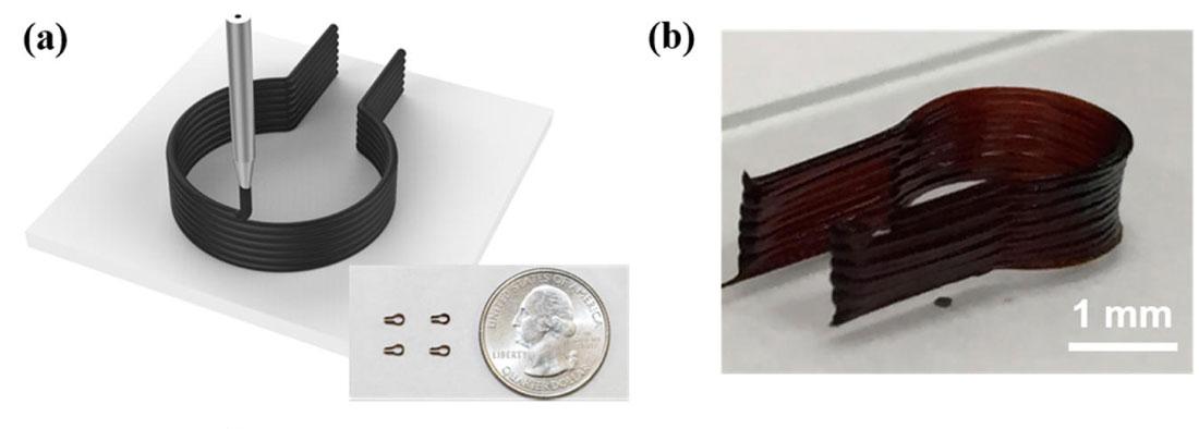 (a) RGO inks are used to 3D print small 1.5 mm heating elements (see scale next to quarter). (b) The as-3D printed horseshoe-shaped heater. Image: American Chemical Society