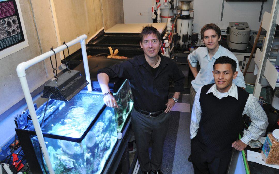 Researchers Developing Super-Strong Materials Thanks to a 3D Printer and the Mantis Shrimp