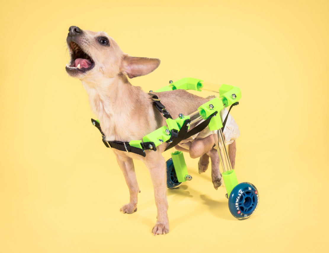 The FiGO Rear Support Pet Wheelchair 