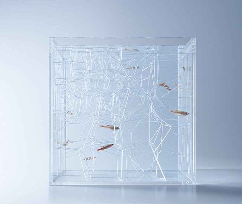 Waterscape: A Series of Minimalist Aquarium Designs Made Using 3D