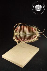 The finished 3D printed trilobite model