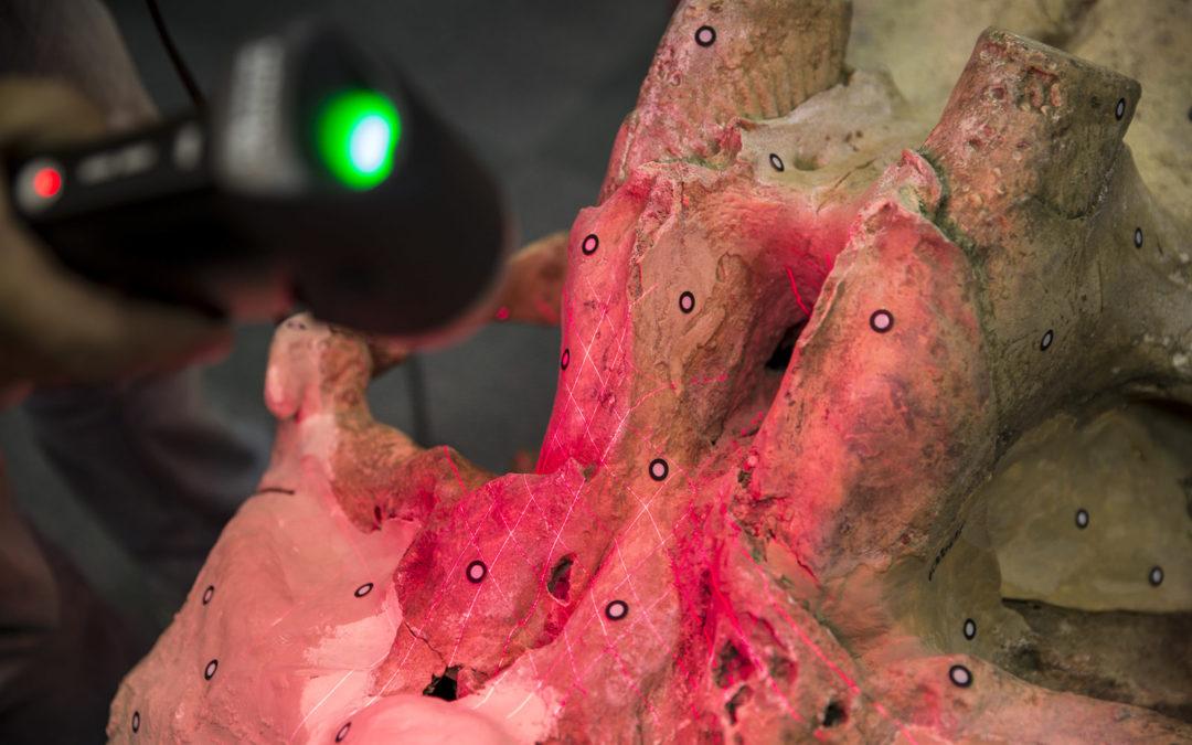 University of Washington Students Take on One Mammoth of a 3D Scanning and 3D Printing Project