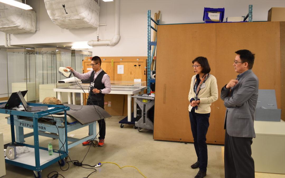 University of Chicago Digitally Restores Ancient Buddhist Caves with 3D Scanners
