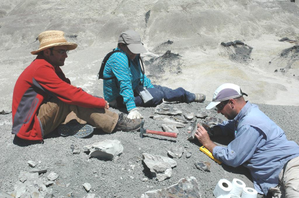 Dr. Brusatte at a dig in New Mexico.