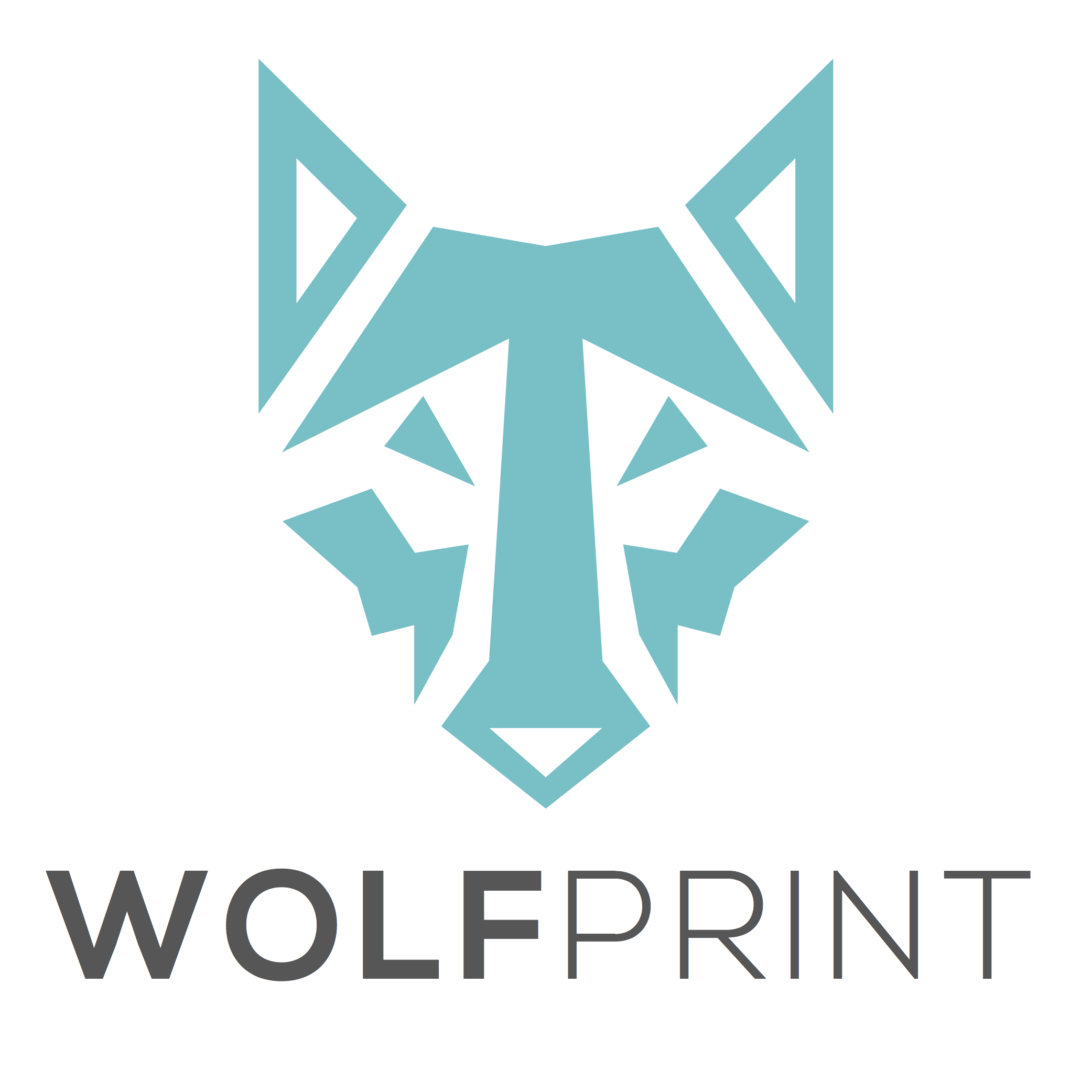 WOLFPRINT 3D INC