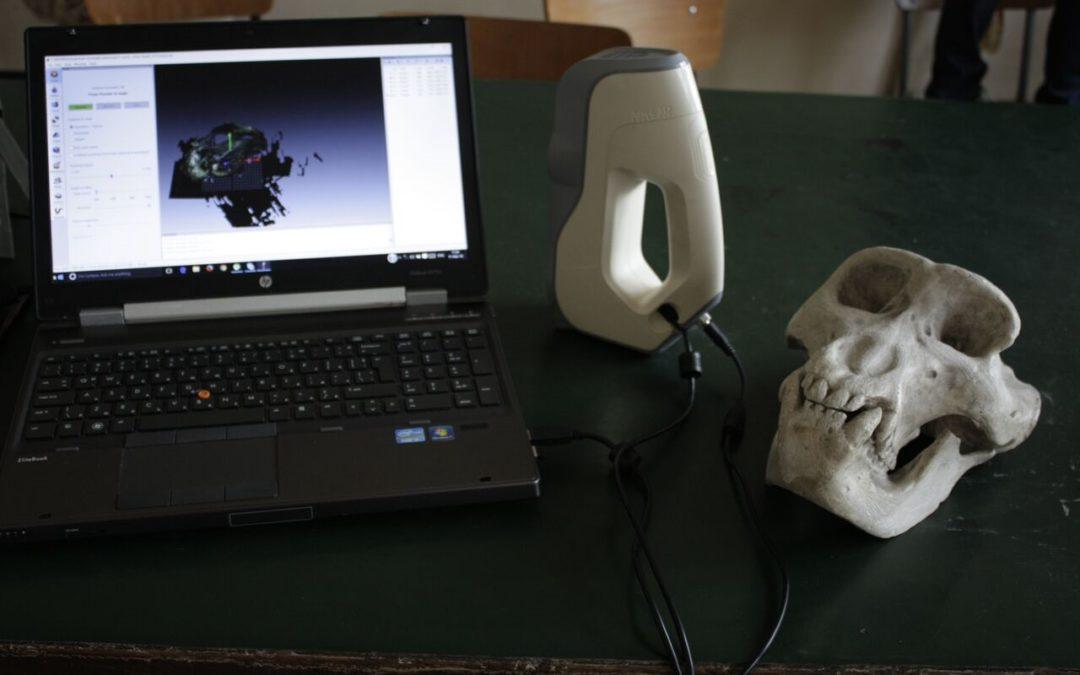 Threeding and Artec 3D Team Up Once Again to Create Expanded Collection of 3D Printable Anatomical Models