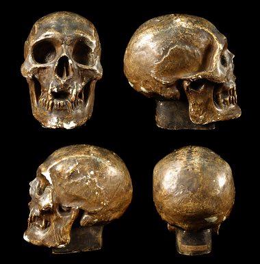king-roberts-skull