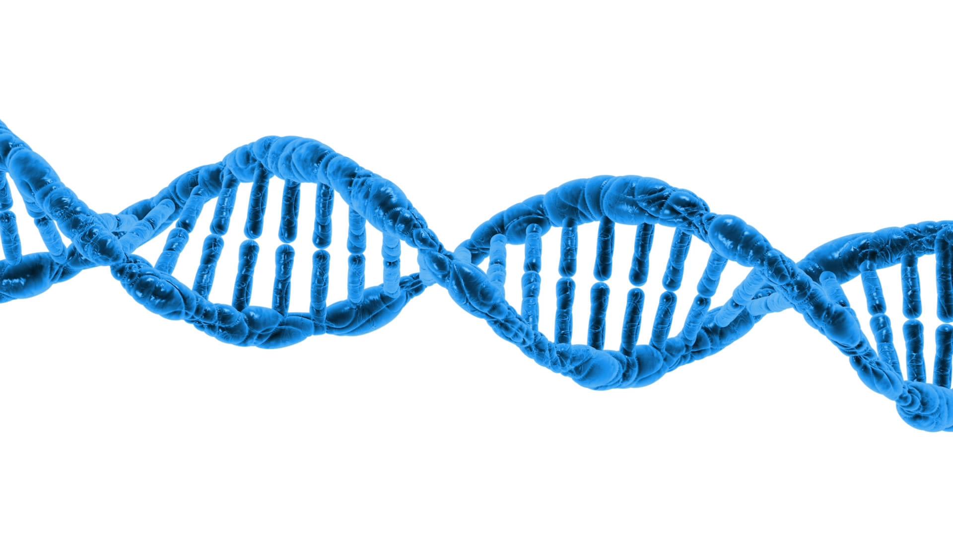 dna-stock-image