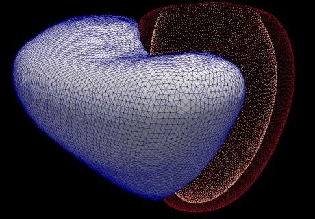 3d-virtual-heart