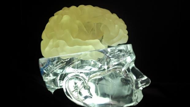 3d-printed-brain