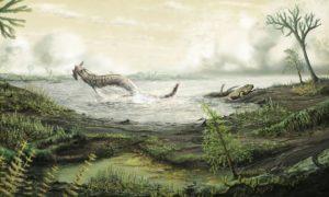 Tetrapod environment, roughly 345 million years ago