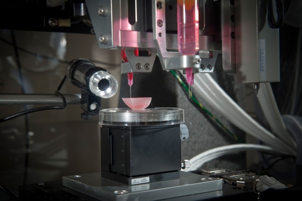 At the Wake Forest Baptist Medical Center in Winston-Salem, North Carolina, researchers are developing a 3D-printed kidney. 
