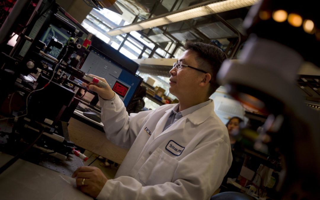 UC San Diego Breakthrough: 3D Printed Blood Vessel Network Survives and Functions Within Mice