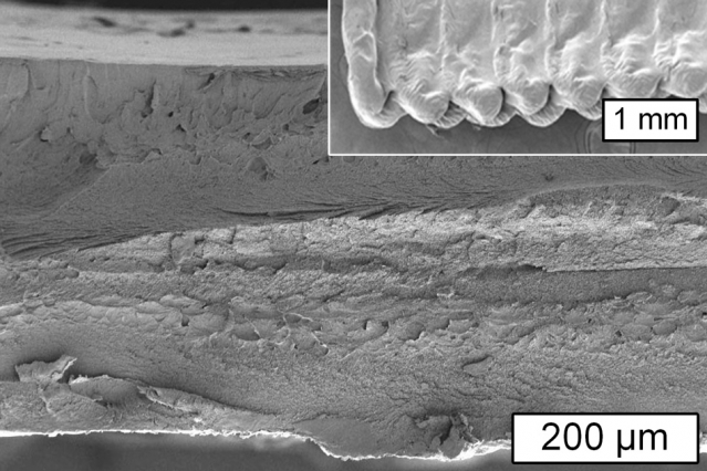 MIT Researchers Create New Cellulose 3D Printing Process and Print Antimicrobial Surgical Tool