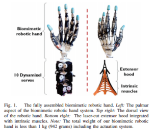 Emanuel todorov thesis picture