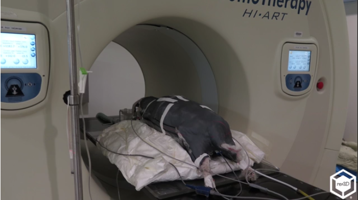 Exclusive Interview: Texas A&M Veterinarian Creates Entirely New Treatment to Save a Dog With a Gigabot 3D Printer