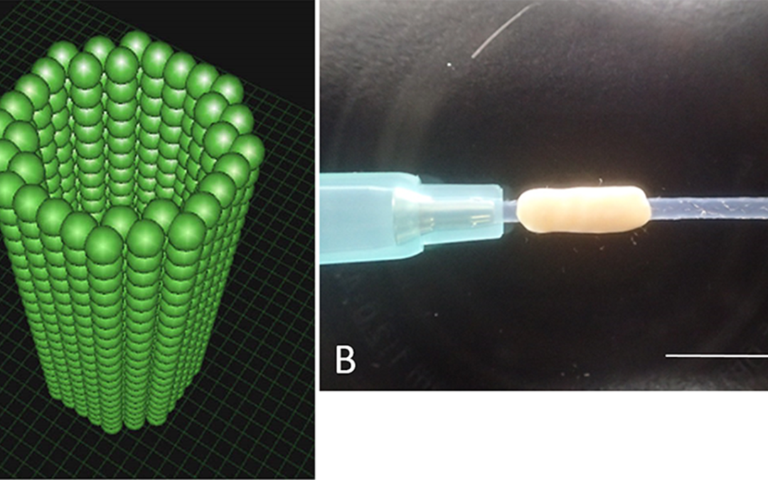Japanese Researchers Successfully Use 3D Printed Conduits for Nerve Regeneration in Rats