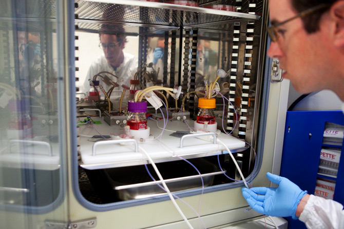 Organovo Presents Data on 3D Printed Kidney and Liver Tissue at Society of Toxicology Annual Meeting