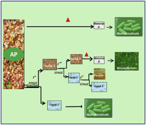Researchers Turn Apple Waste into Biomaterials to Make 3D Matrices for Tissue Regeneration