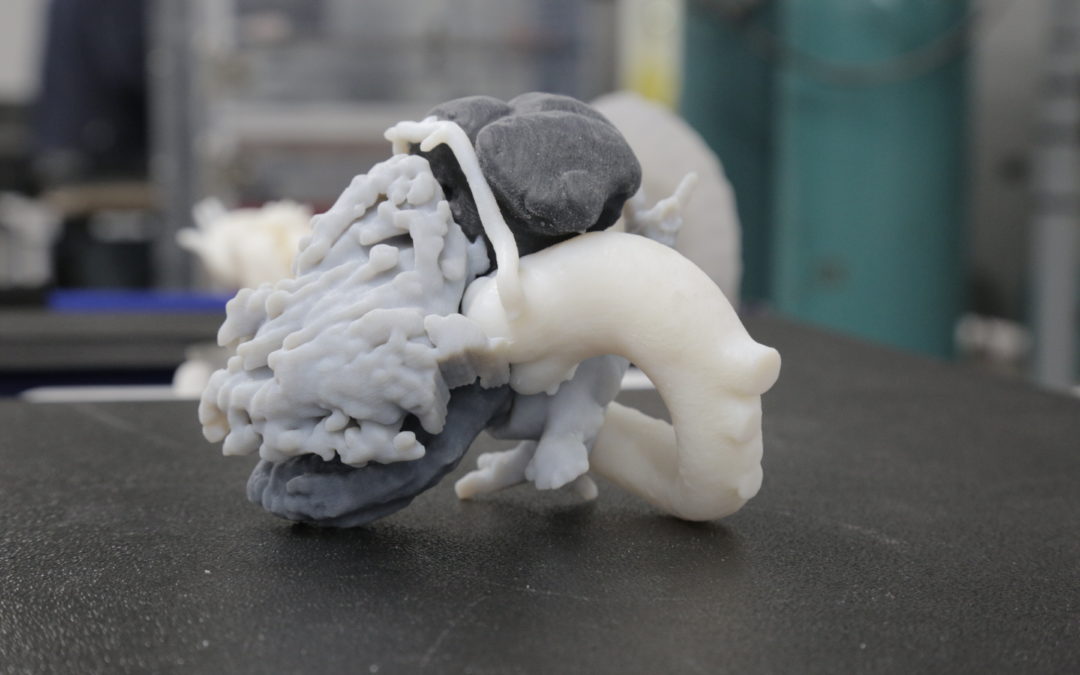 GE Healthcare Researching Ways to 3D Print Medical Models With the Touch of a Button