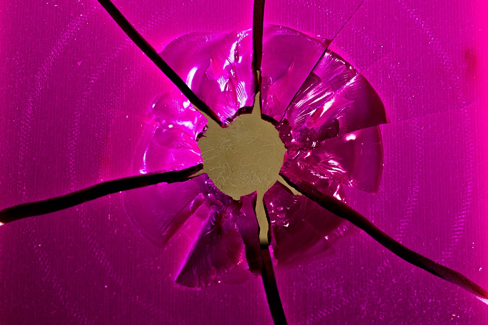 Conch’s Strength Inspires MIT Researchers to 3D Print Stronger Protective Gear