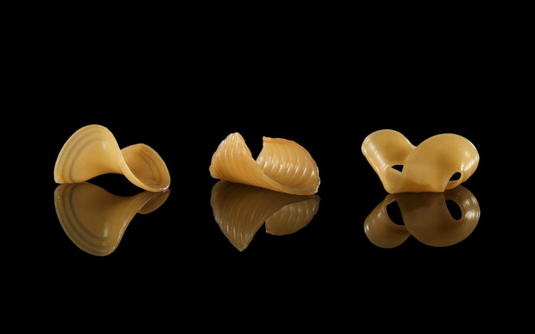 MIT Uses 3D Printing to Create Shape-Shifting Noodles
