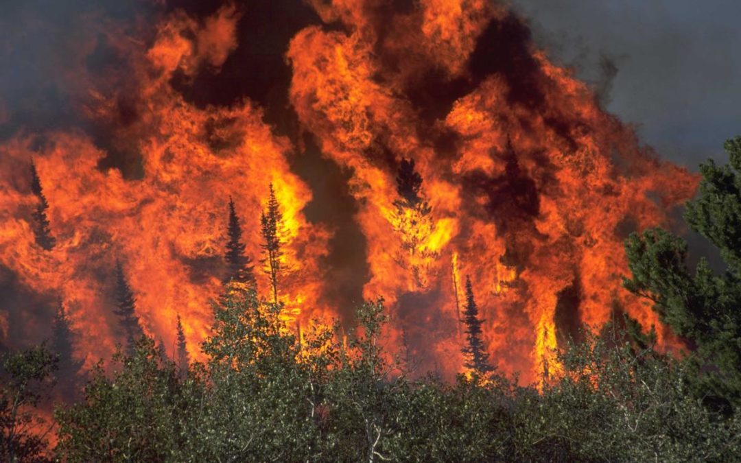 3D Printed Sensors Could Offer Earlier Warning of Wildfires and Chemical Leaks