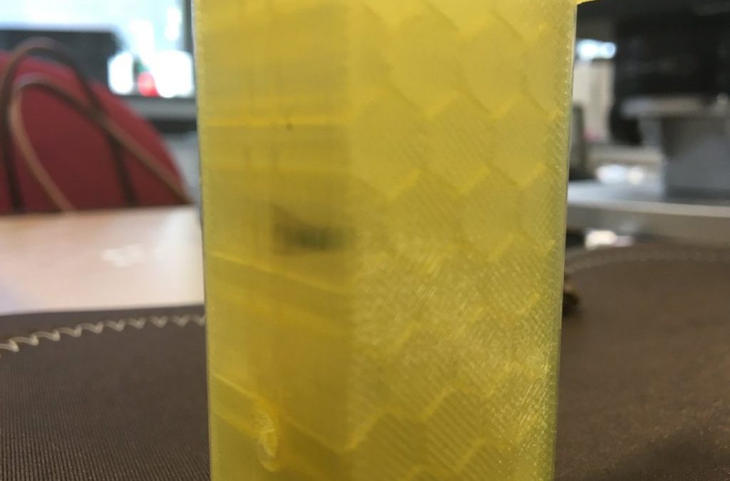 Enjoy This Dead Fly Encased in a 3D Print: Is it Art, a Valuable Fossil, or Evidence of the Anthropocene Era?