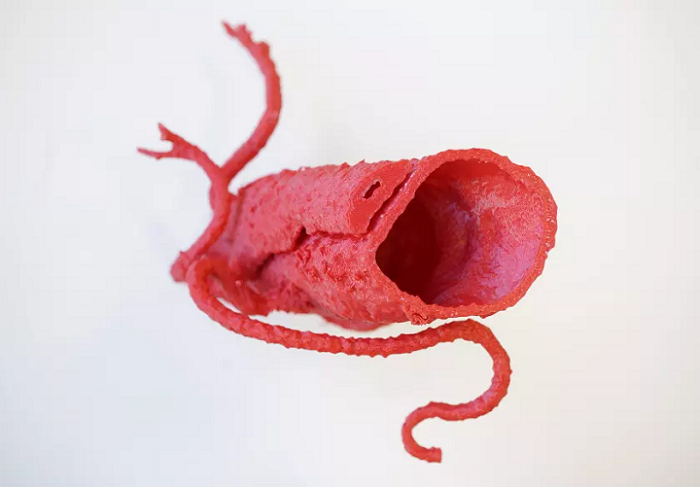 Doctors Publish Research on Top Five Areas in Which 3D Printing Technology Has the Most Potential to Change the Medical Field
