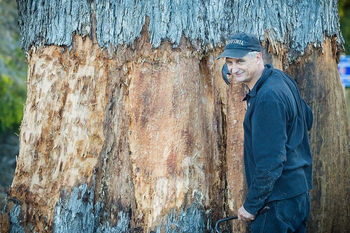 Artist Uses 3D Printed Paper to Make a Statement About Trees
