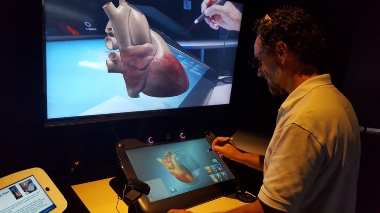 Virtual Human Modeling Puts Simulation Tools in Clinicians
