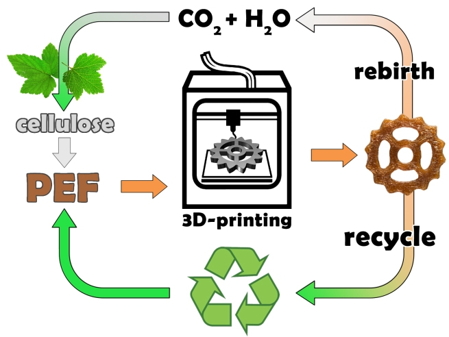 Russian Researchers Develop New Recyclable 3D Printing Polymer Out of Biomass Material