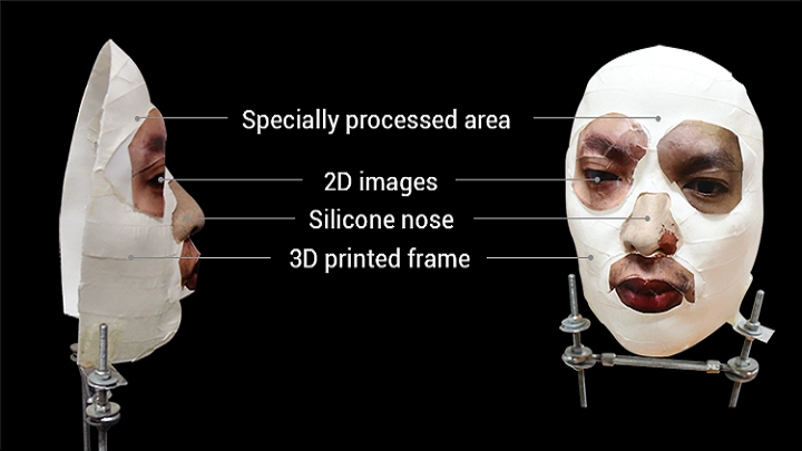 Have faced Facial image software think Facial image software