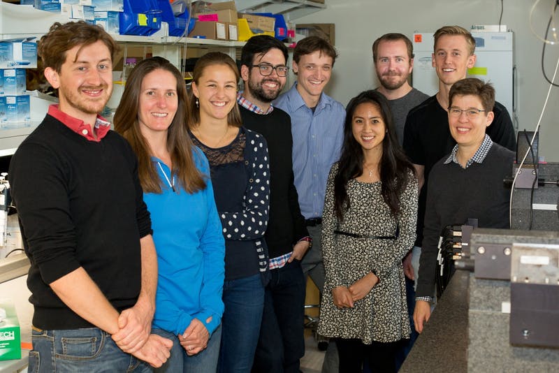 Jennifer Lewis’ Work on 3D Organs-on-Chips Awarded 2017 Lush Prize