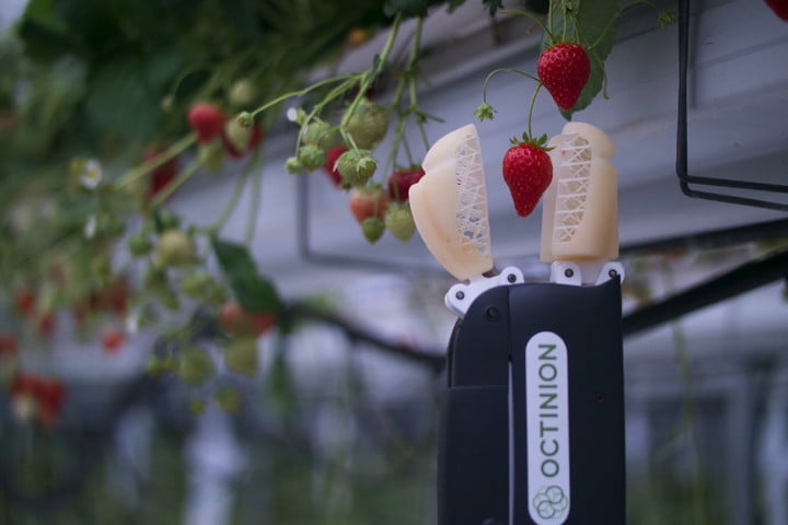 Replacing Human Hands with Octinion’s Partially 3D Printed Strawberry Picking Robot