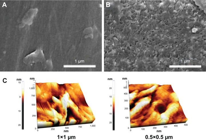 3D Printed PEKK Structures Shown to Offer Superior Antibacterial Properties for Orthopedic Implants in Comparison Study with PEEK