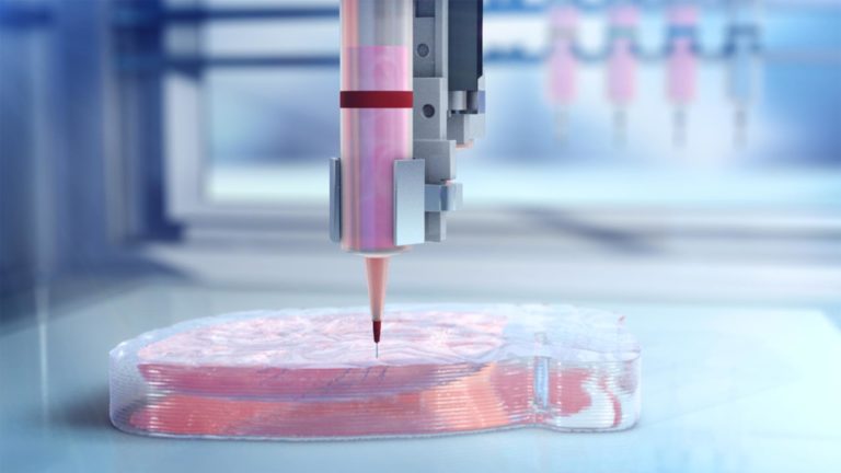 BIOLIFE4D Hopes to Raise $50M to Develop 3D Printed Transplantable Hearts