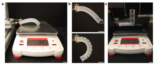 Harvard Researchers Develop Novel 3D Printing Method to Give Soft ...