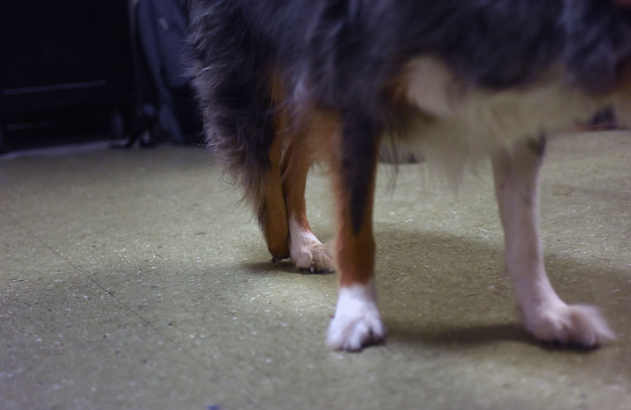 University S 3d Printing Club Creates A 3d Printed Foot