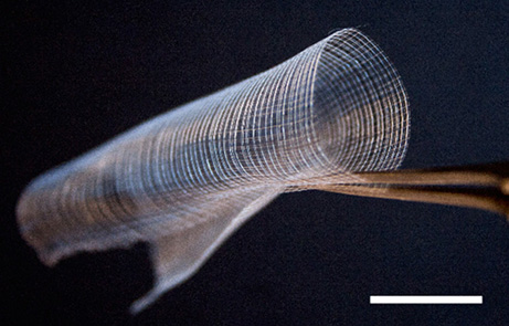 Studying How Disease Metastasizes Using a Lifelike Cancer Environment Created with 3D Jet Writing